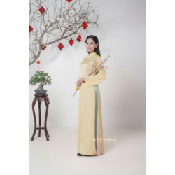 D11 - Áo Dài Nữ Tencel 4 Tà (áo only)